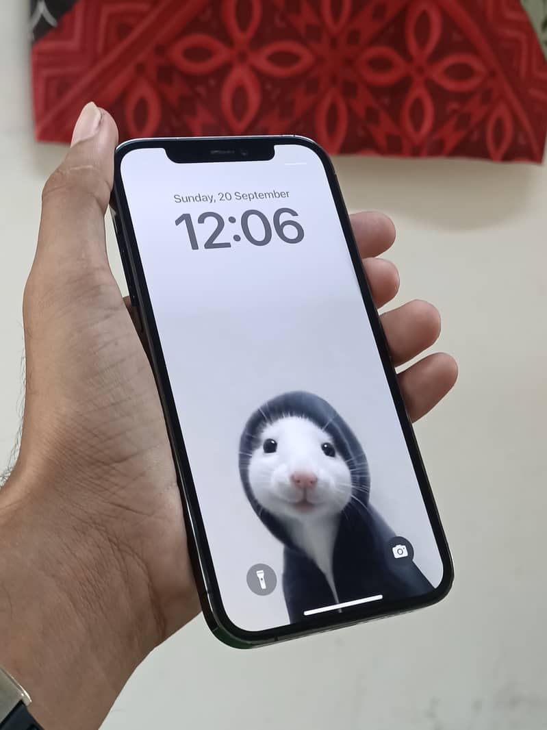 Apple iPhone 12 Pro 7