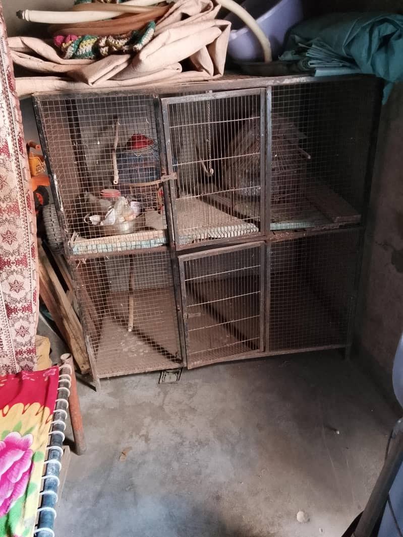 Two cages 1