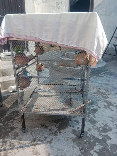 hand parrot cage