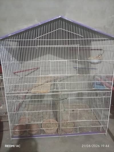 Cage for Birds