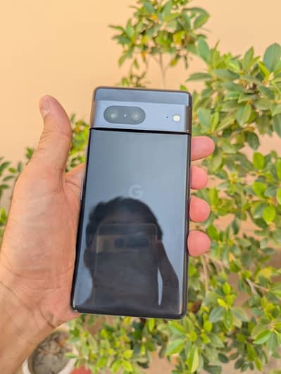 Google Pixel 7 Official PTA Approved