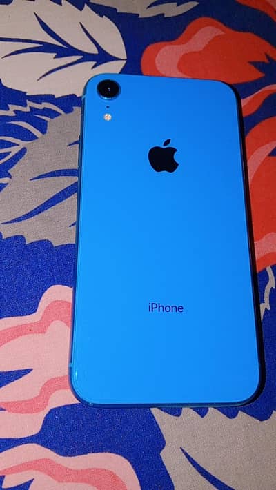 iPhone XR
