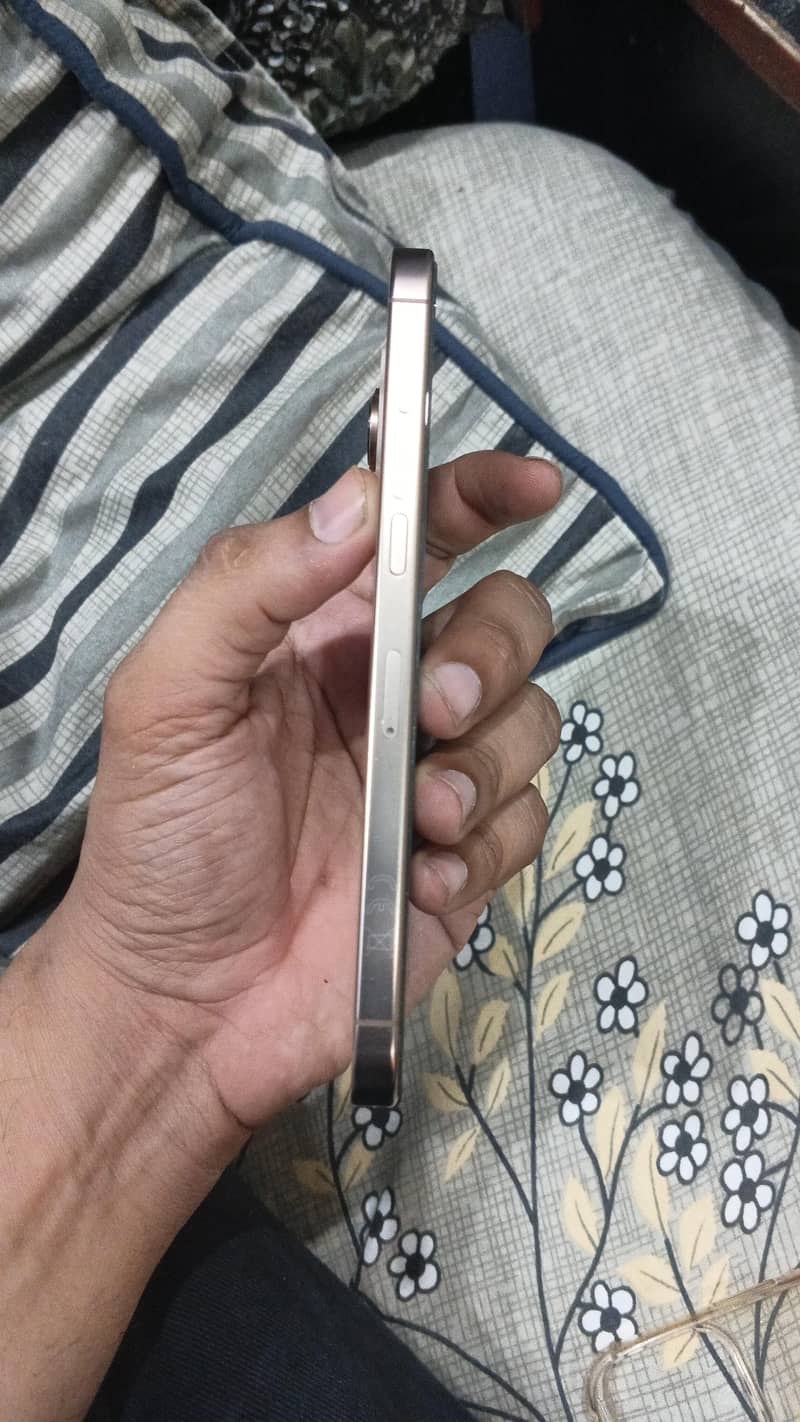 iPhone 16 Pro Max 2