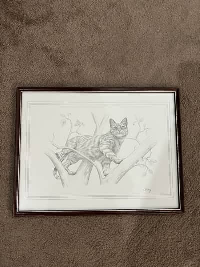 Original Framed Pencil Sketch Print of Cat, Signed by C. Varlay