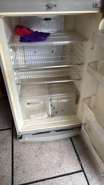 Waves Jumbo Fridge For Sale
