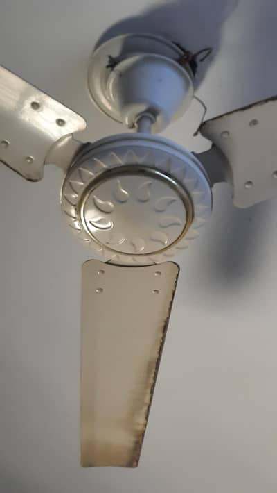 AC/DC Inverter Ceiling Fan (56 inch) - Solar / Battery Supported