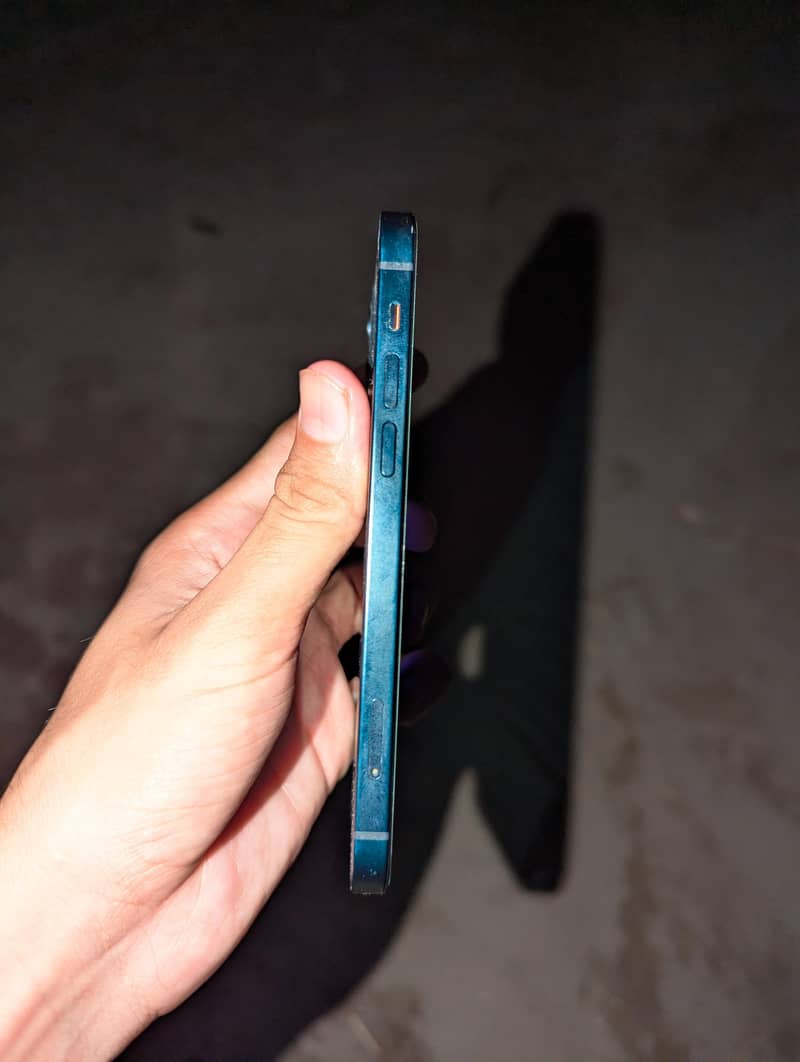 Apple iPhone 12 1