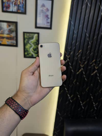 iPhone 8 256gb buypass