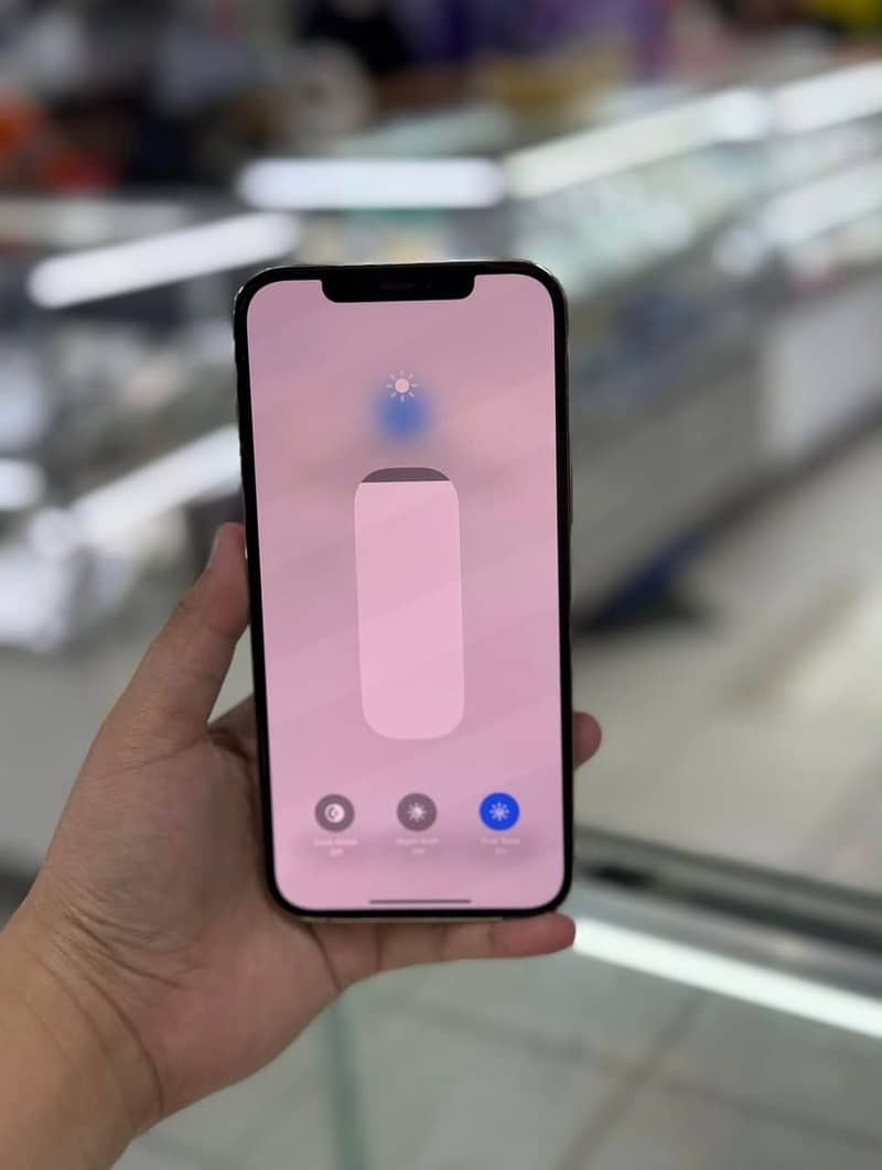 Apple iPhone 12 Pro Max 2