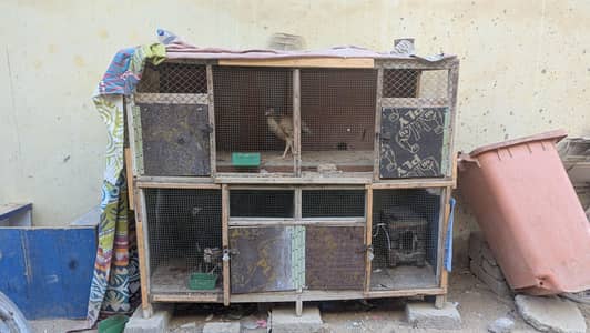 hen wooden or steal jali Wala cage