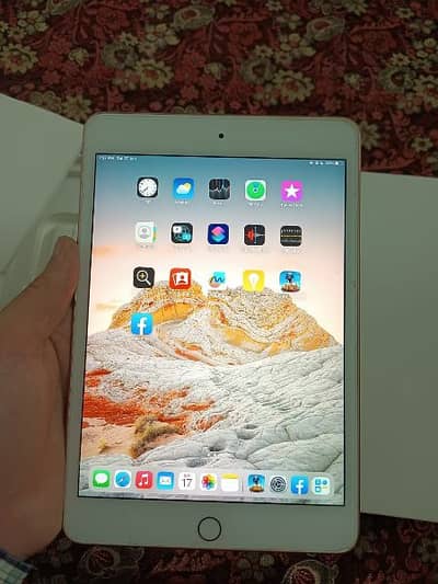 Apple iPad Mini 5
