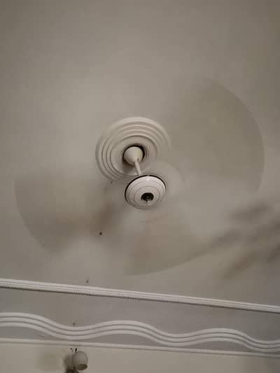 2 ceiling fans 56 inch available for sale