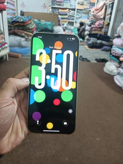 Apple iPhone 12 Pro Max
