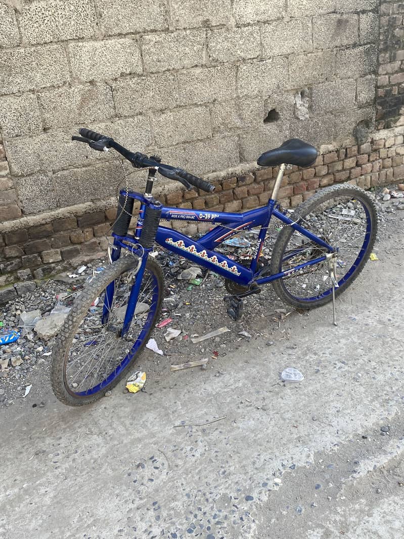 Bicycle 1