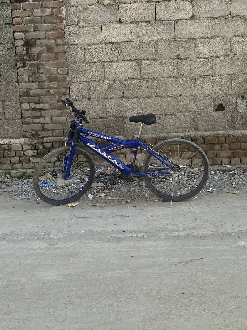 Bicycle 2
