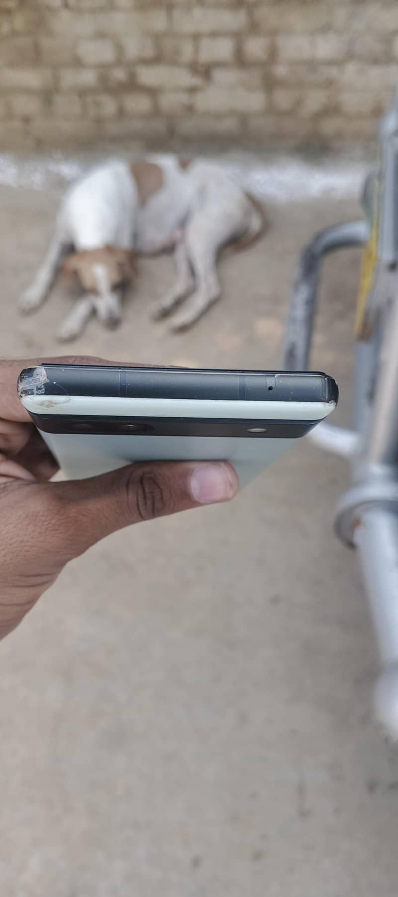 Google Pixel 6a 1