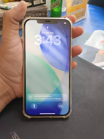 Apple iPhone 12 Pro Max 256 GB (0300/4149583)