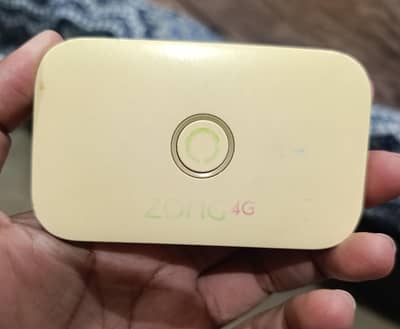 zong bolet+