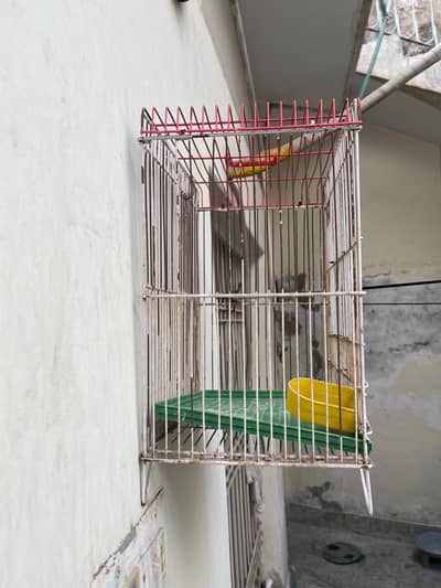 Pair of 2 Bird Cages - Sarib Cages - For Parrots / Finches