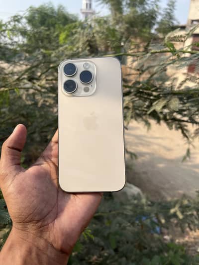 Apple iPhone 14 Pro (jv)(Golden)