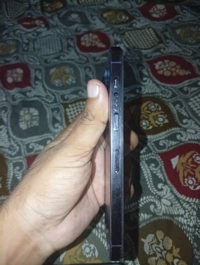 Apple iPhone 14 Pro Max sim working