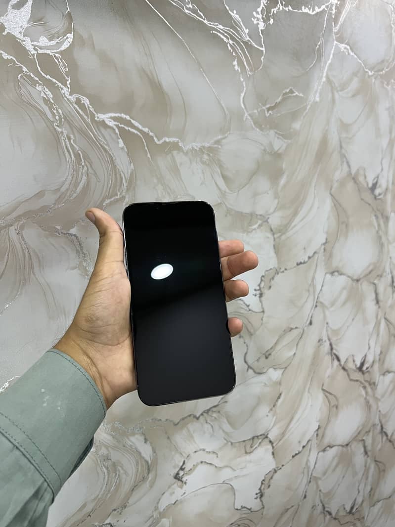 IPHONE 13 PRO MAX 1