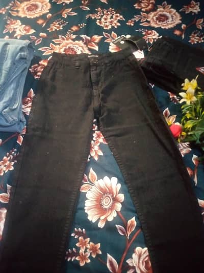 ladies pant