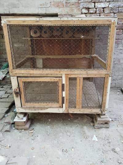 Bird cages