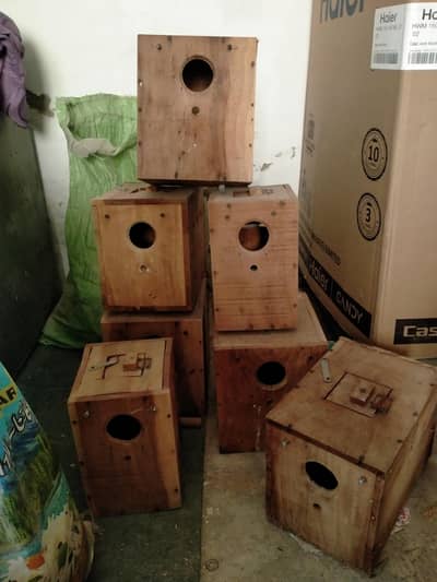 Birds  breeding Box keekar