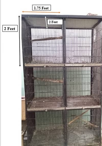 Birds Cage for Sale