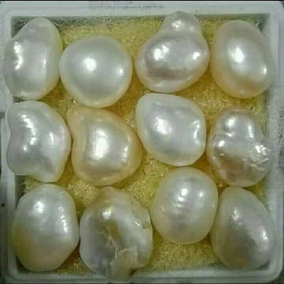 Pearl / Moti Natural