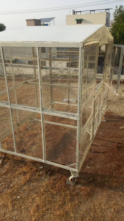 bird cage pinjra steel body