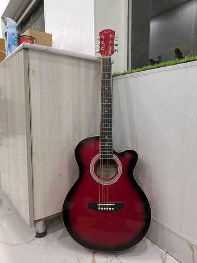 BRAND NEW GUITAR FOR SEAL