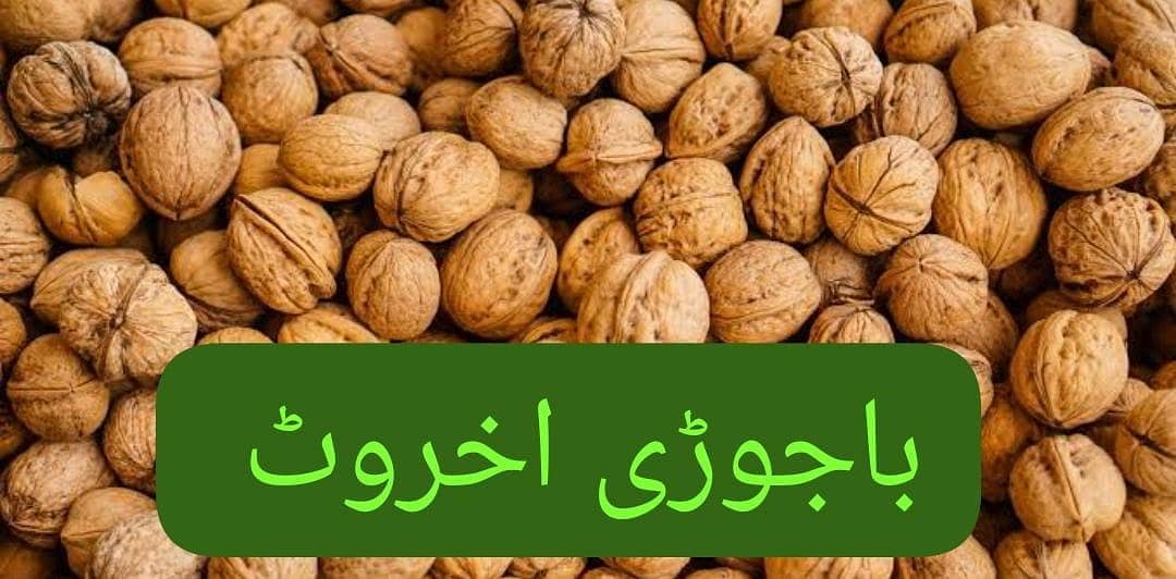 باجوڑی اخروٹ 0