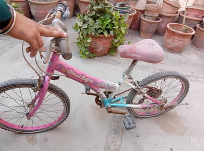 bicycle