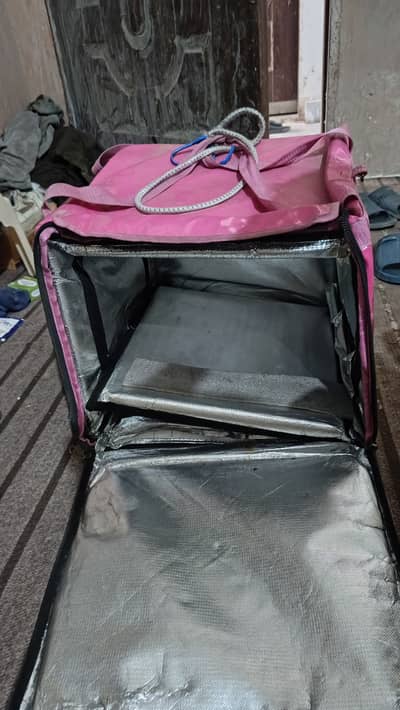 Foodpanda delivery bag