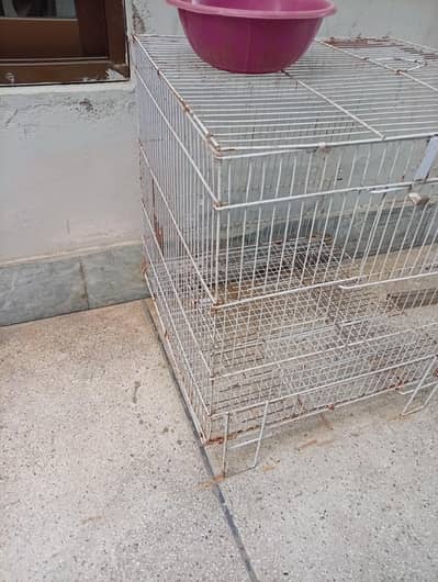cage for sale