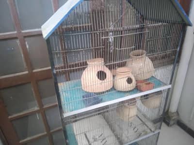 Bird 3 portion
