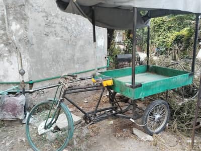 cycle rikshaw