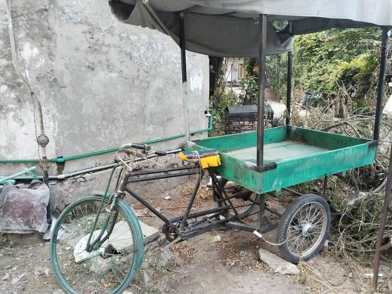 cycle rikshaw 0