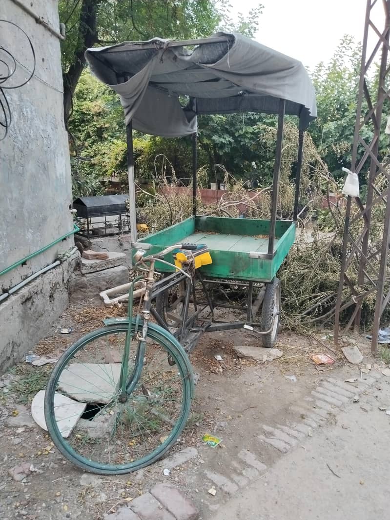 cycle rikshaw 1