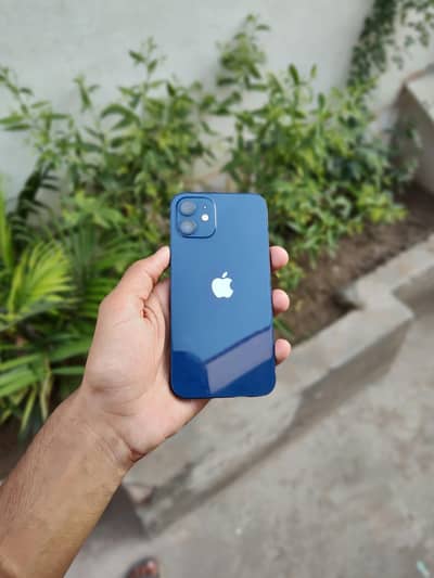 Apple iPhone 12
