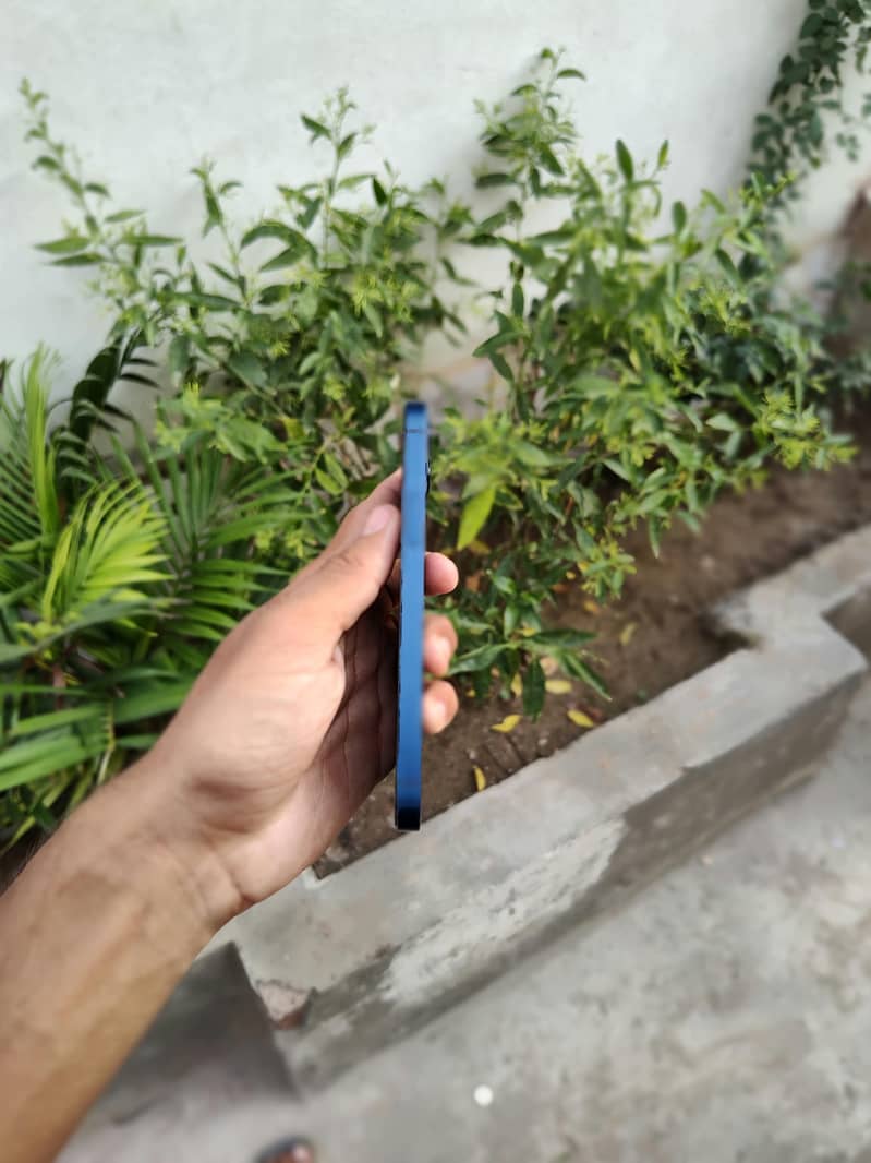Apple iPhone 12 1
