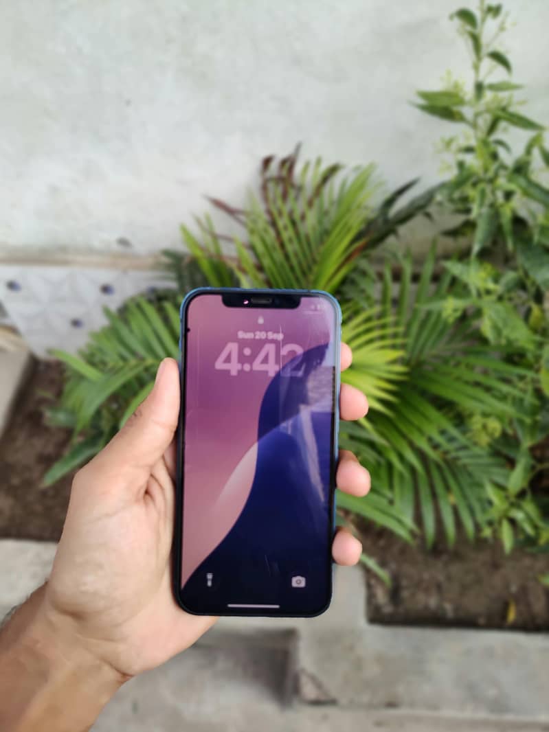 Apple iPhone 12 3