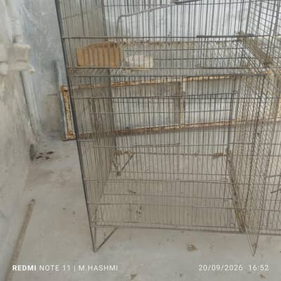 cage 4 partition