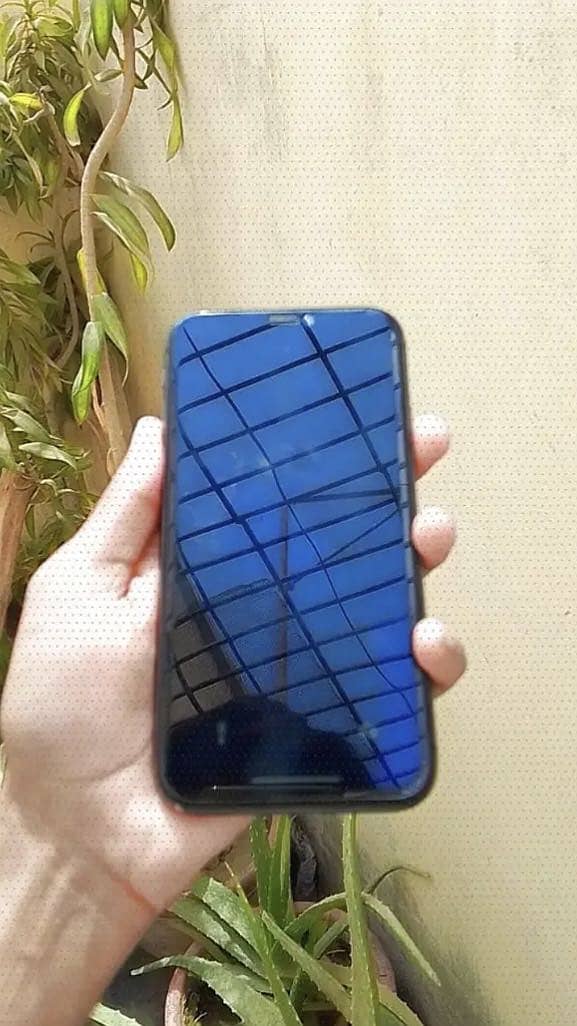 Apple iPhone 11 1