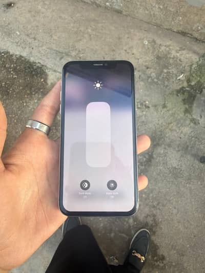 Apple iPhone X