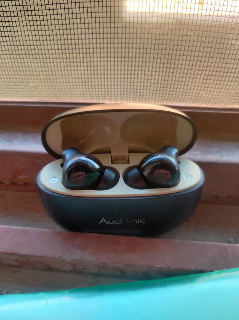ear buds 1
