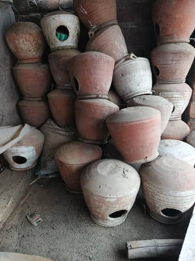 kujy for sale big size