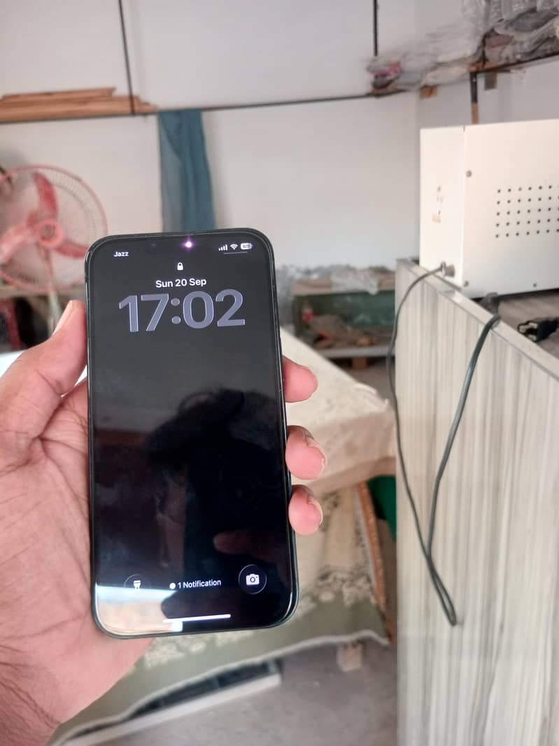 Apple iPhone 13 0